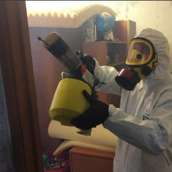 Уничтожение клопов в квартире. Свободный